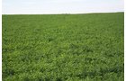 Property photo 30 - LAND AUCTION, 3255+/- Acres offered in 13 Tracts